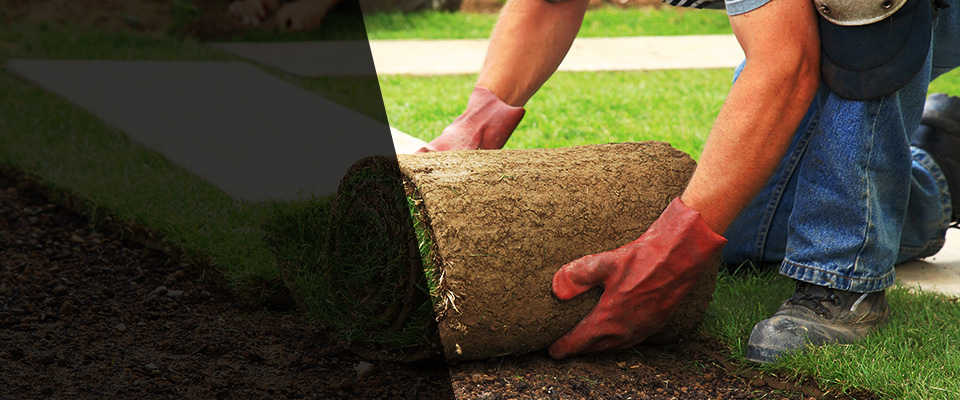 Sinton Landscapers